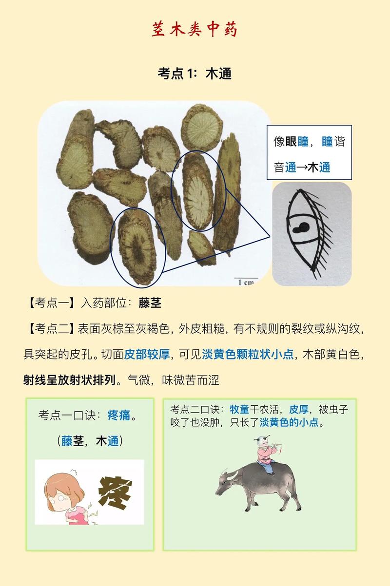 恒瑞印度代购希爱力是真的吗？避坑指南与正品鉴别全攻略